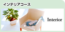 �C���e���A�R�[�X